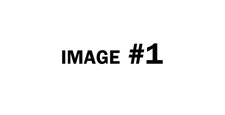 Image Caption