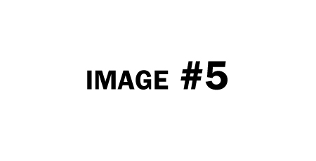 Image Caption